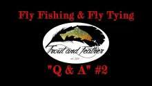 Video thumb for Q&A on fly fishing and fly tying #2
