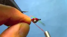 Video thumb for Bonefish Bitters