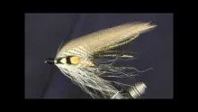 Video thumb for Grey Ghost