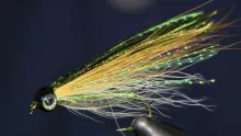 Video thumb for Little Brown Trout