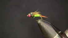 Video thumb for Olive Copper John