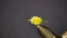 Video thumb for Ray Charles Fly