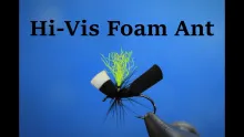 Video thumb for Hi-Vis Foam Ant