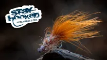 Video thumb for Eriksen's SloMo Worm