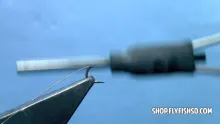 Video thumb for Zebra Midge