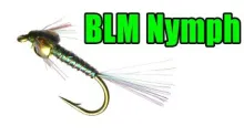 Video thumb for BLM Mayfly Nymph