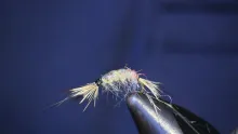 Video thumb for Rainbow Scud