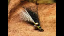 Video thumb for Black and Tan Clouser Minnow