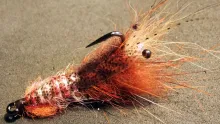 Video thumb for Shrimp/crawfish