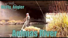 Video thumb for Winter Fly Fishing The Animas River