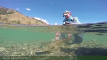 Video thumb for Dry fly Fishing New Zeland