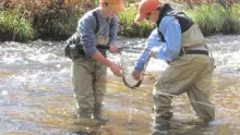 Video thumb for Fall Fly Fishing on Wilson Creek