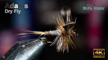 Video thumb for Adams