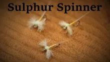 Video thumb for Sulphur Spinner
