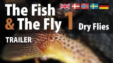 Video thumb for The Fish & The Fly 1 Dry Flies