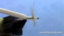 Video thumb for The Stillborn Midge
