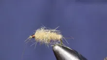 Video thumb for Walts Worm