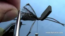 Video thumb for Hans' Cricket