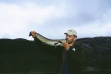 User submitted picture: Love is in the air