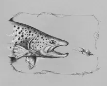 User submitted picture: "Hot Pursuit" captures ...