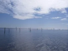 User submitted picture: "Blue", fishing the Eas...