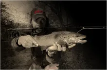 User submitted picture: rare two-pounder