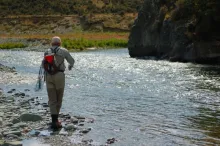 User submitted picture: little ballet