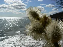 User submitted picture: Vejle fjord