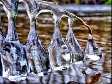 User submitted picture: ...Ice drops...