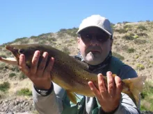 User submitted picture: Male brown trout of Alumi...