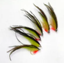 User submitted picture: Polar Fox