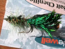 User submitted picture: Wooly Bugger variant with...