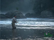 Computer screen wallpaper: Fishing for Atlantic salmon
