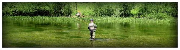 User submitted picture: Prepare for the roll cast