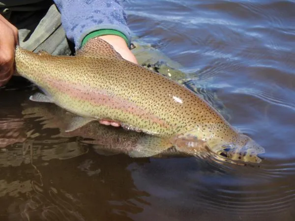 User submitted picture: Carolina with a Rainbow o...