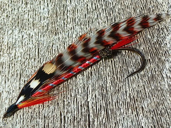 User submitted picture: A Spring Streamer