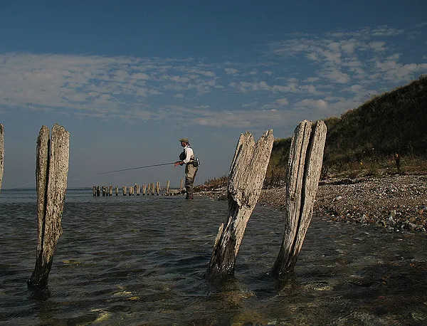 User submitted picture: Spotting Ripley