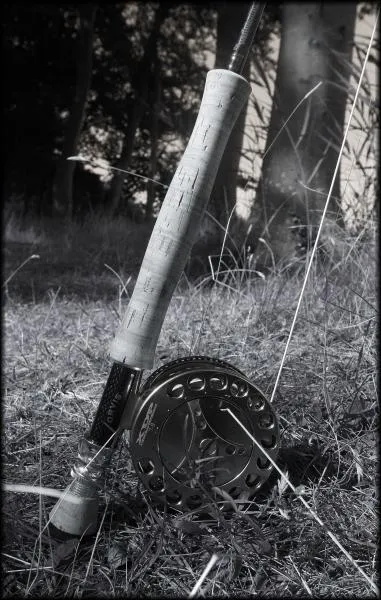 User submitted picture: the gear waiting for acti...