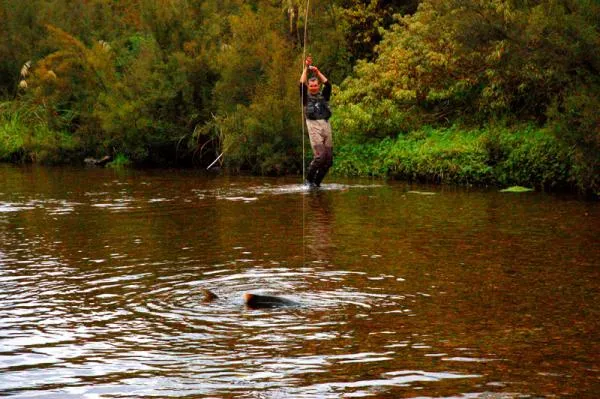 User submitted picture: fighting the king himself...