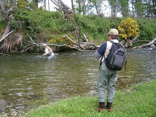 User submitted picture: There is a fish in there ...