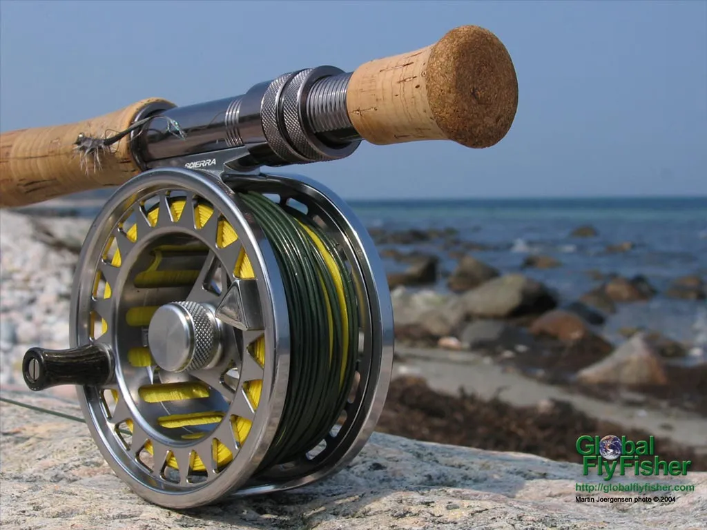 Computer screen wallpaper: A Scierra Traxion reel in the sun.